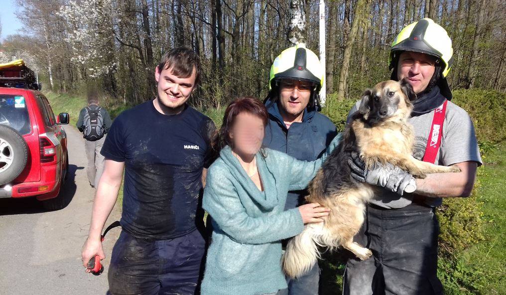 Hasiči z Budislavi zachránili psa z kanalizace...