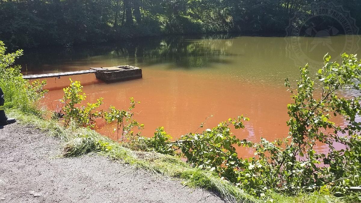 Insekticidy unikly do rybníku z převráceného vozíku