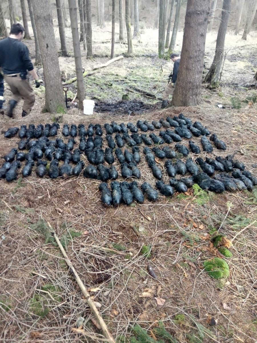 Nález velkého množství dělostřeleckých min u obce Týnišťko na Orlickoústecku