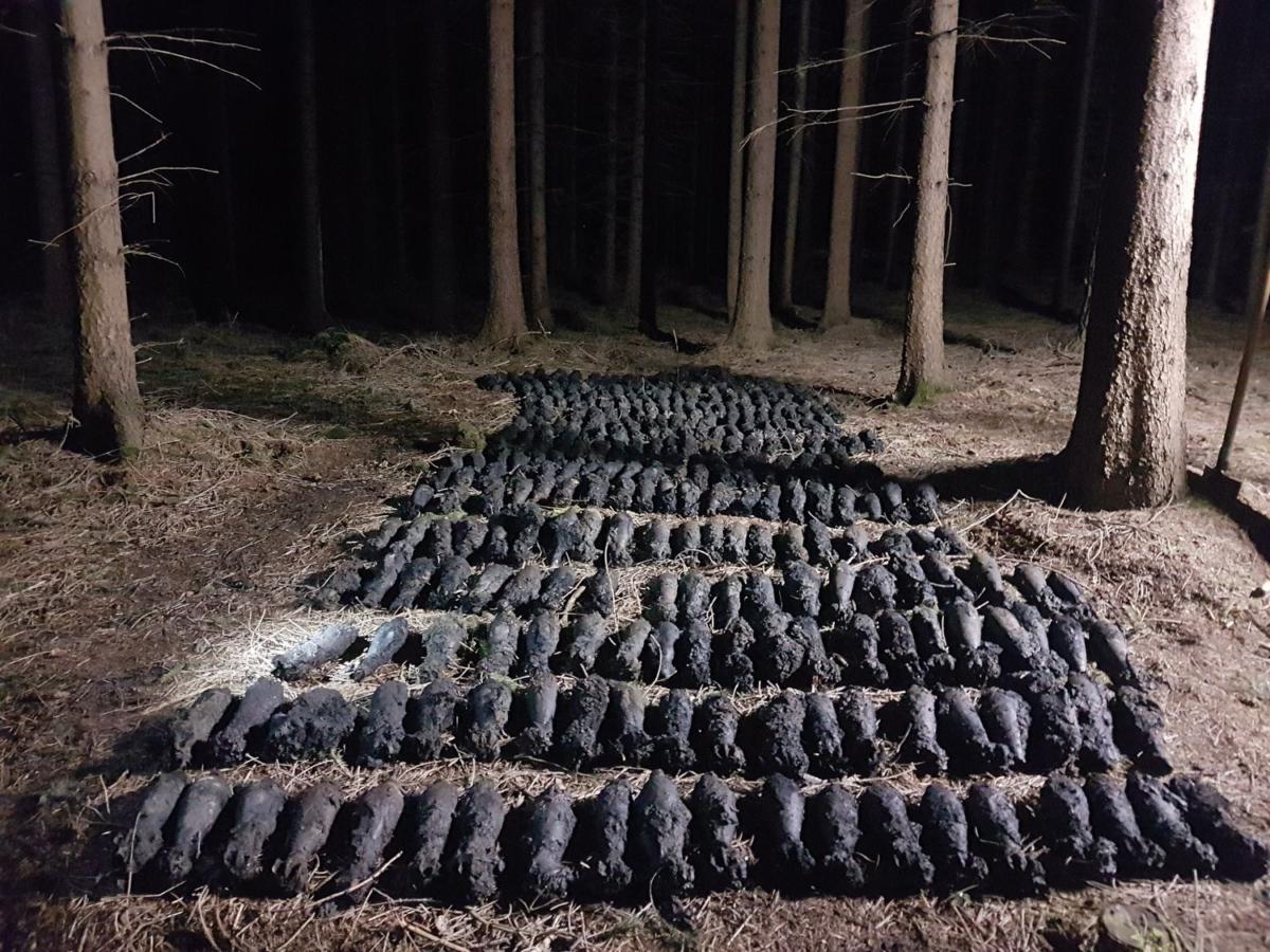 Nález velkého množství dělostřeleckých min u obce Týnišťko na Orlickoústecku