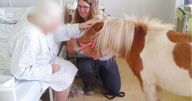 V Chrudimské nemocnici pomáhají s „léčbou" koně i psi