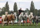 Největší výstava o koních a lidech Koně v akci zaplní dostihové závodiště na dva dny